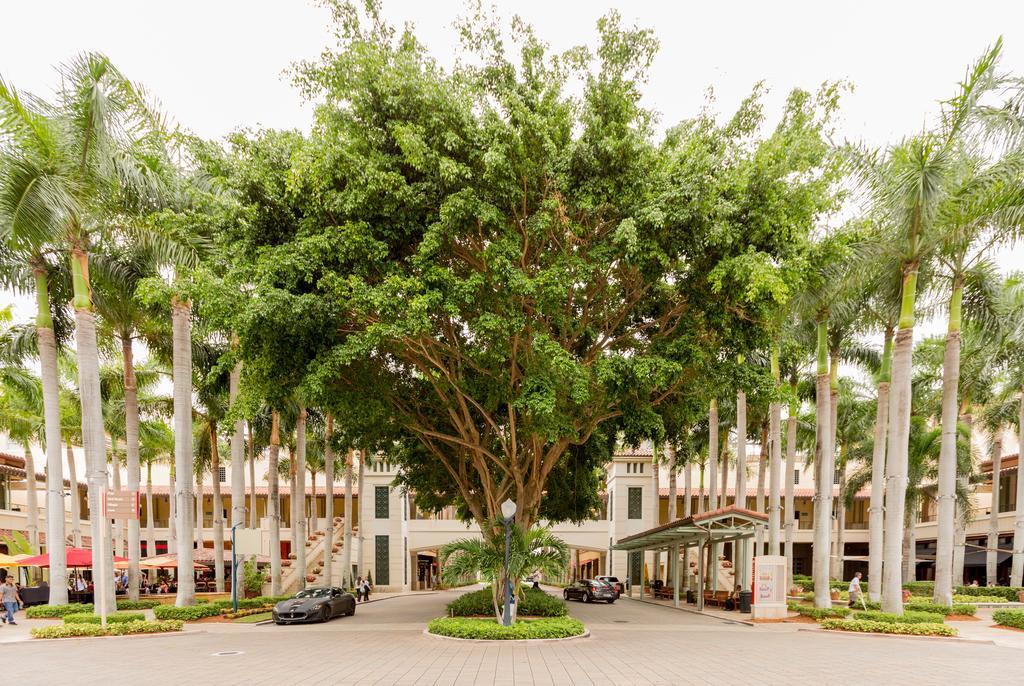 Pelicanstay In Coral Gables Miami Екстер'єр фото